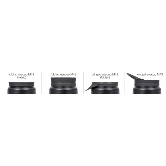 Set de Oculares Baader Morpheus 76º