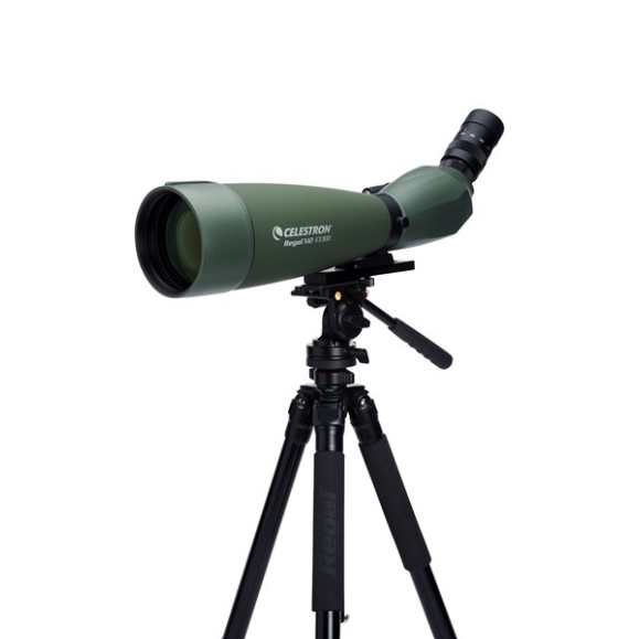 Telescopio Terrestre Celestron Regal M2 100ED