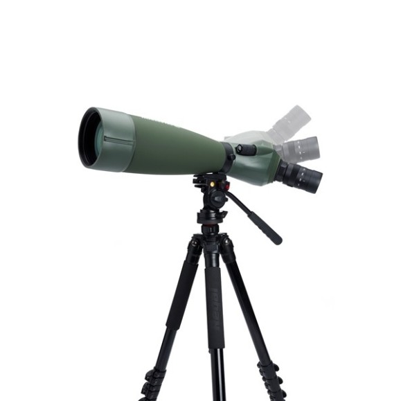 Telescopio Terrestre Celestron Regal M2 100ED