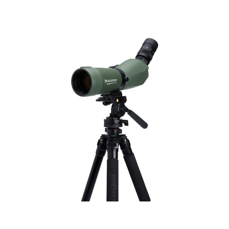 Telescopio Terrestre Celestron Regal... Telescopio Terrestre Celestron Regal...