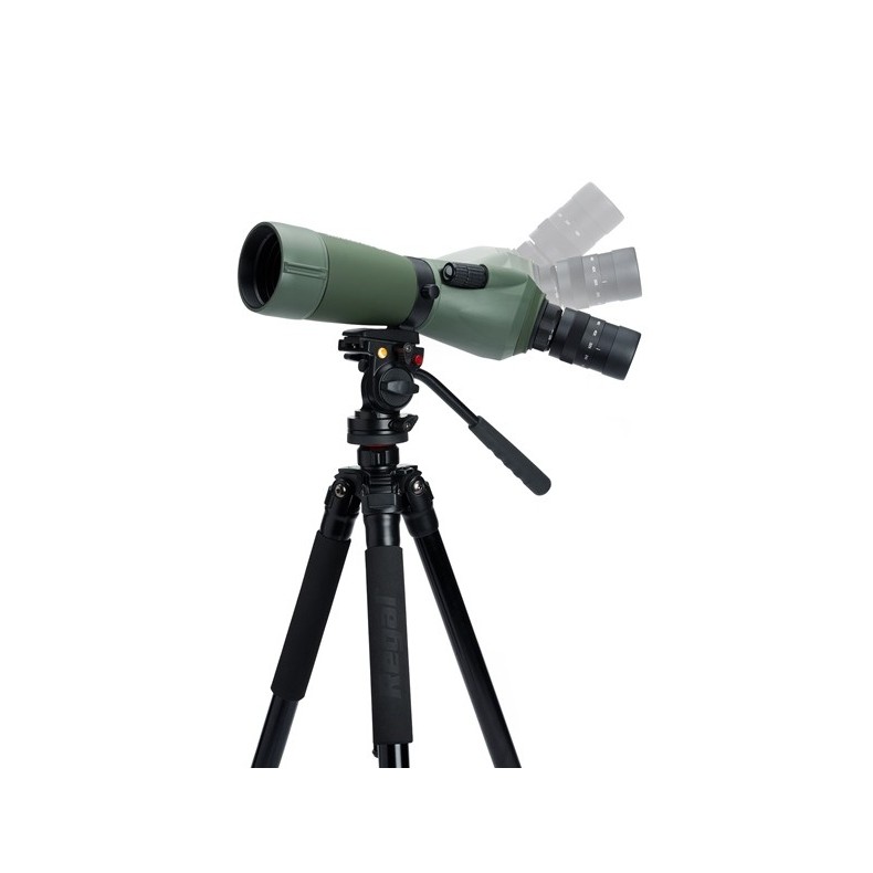 Telescopio Terrestre Celestron Regal... Telescopio Terrestre Celestron Regal...