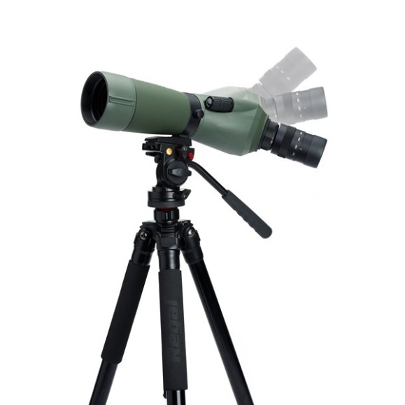 Telescopio Terrestre Celestron Regal M2 65 ED 52304