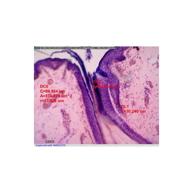 Microscopio Digital Dino-Lite USB...