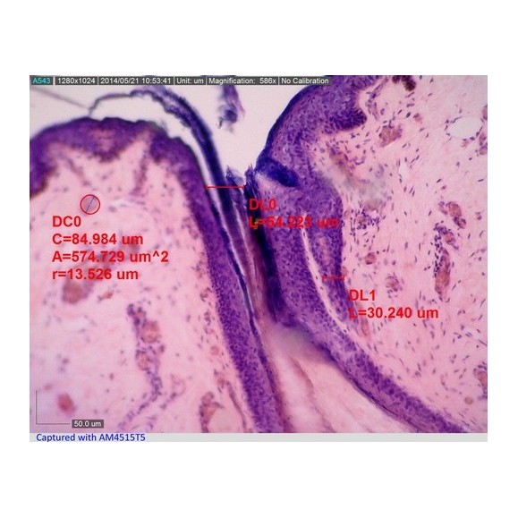 Microscopio Digital Dino-Lite USB AM4515T8 EDGE