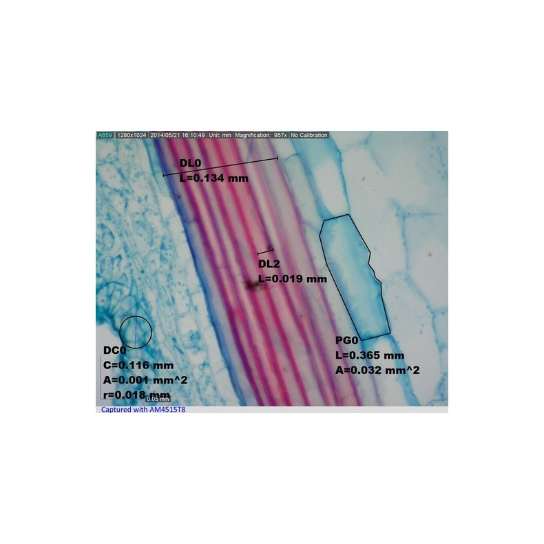 Microscopio Digital Dino-Lite USB...