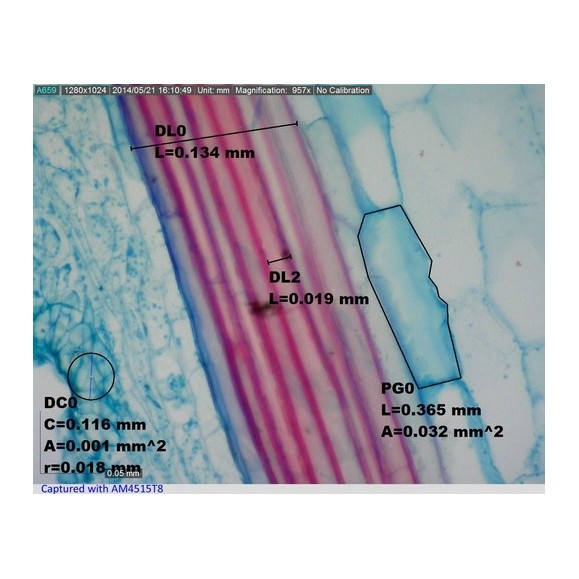 Microscopio Digital Dino-Lite USB AM4515T8 EDGE