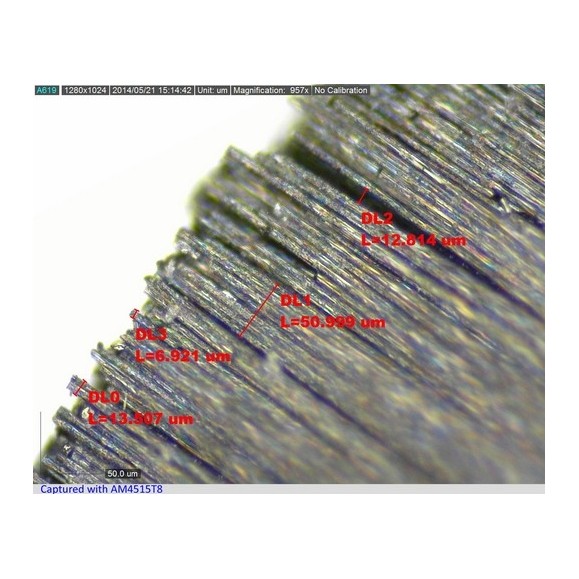 Microscopio Digital Dino-Lite USB AM4515T8 EDGE