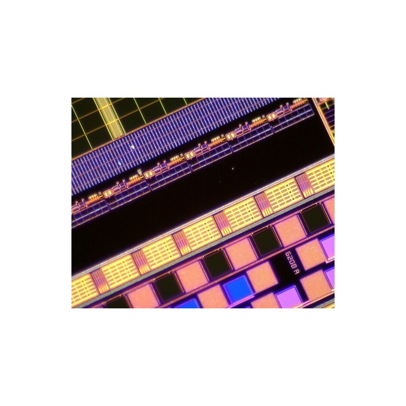 Microscopio Digital Dino-Lite USB...