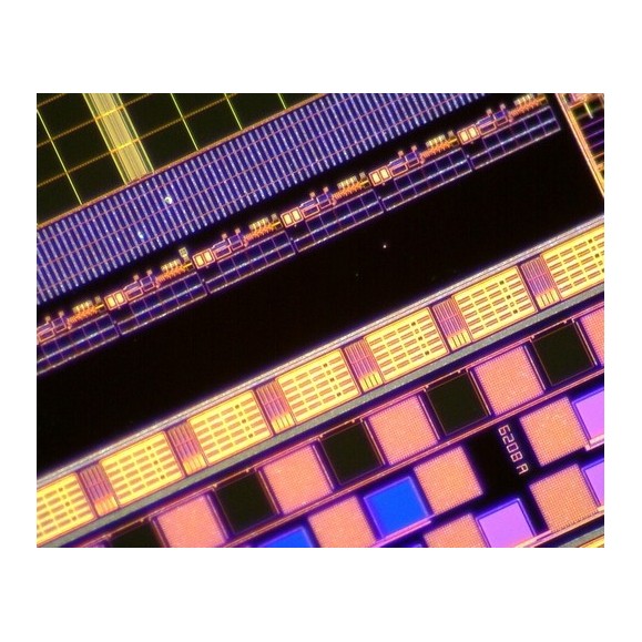 Microscopio Digital Dino-Lite USB AM4515T8 EDGE