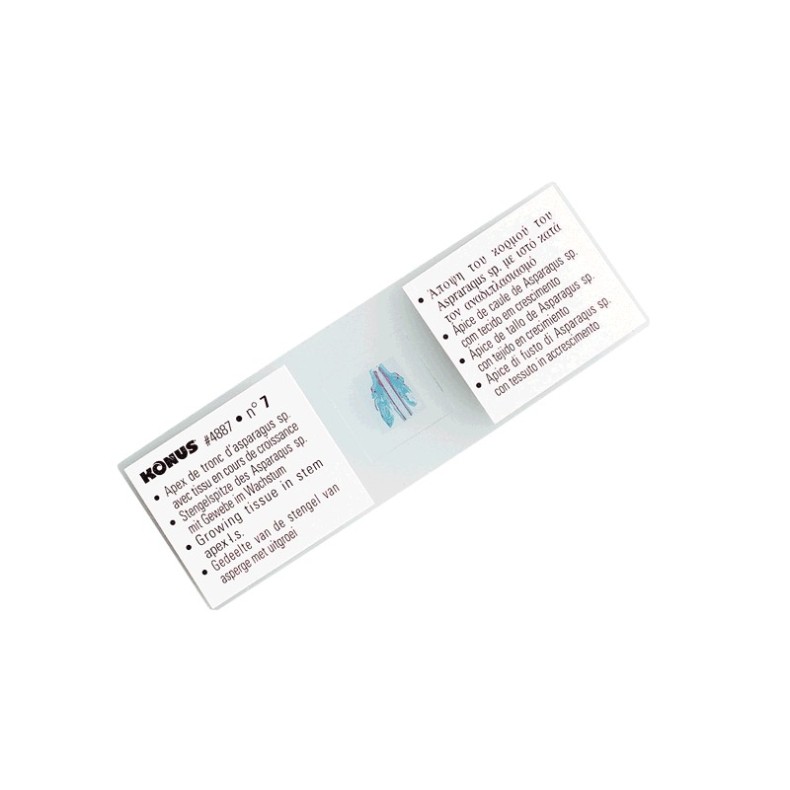 Muestras preparadas SERIE PARA LA... Muestras preparadas SERIE PARA LA...