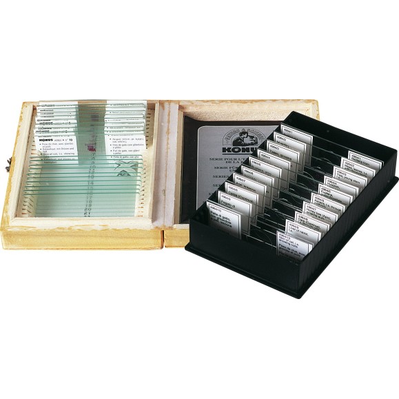 Muestras preparadas SERIE PARA LA ENSENANZA DE LA BIOLOGIA 1 4963