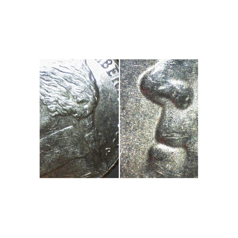 Microscopio digital Tasco Amoeba Rojo Microscopio digital Tasco Amoeba Rojo