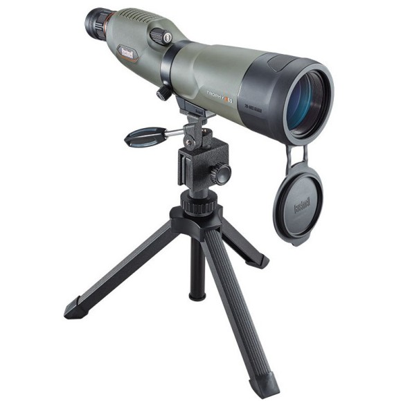 Telescopio terrestre 20-60x 65 mm Bushnell Trophy Xtreme recto