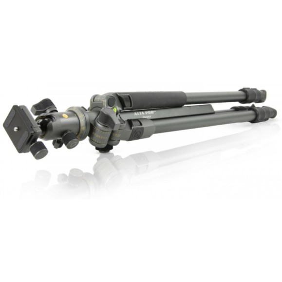 Trípode de aluminio Vanguard Alta Pro2+ 263AB 100