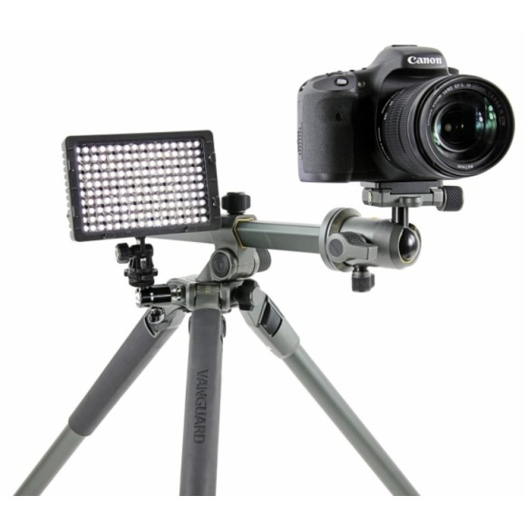 Trípode de aluminio Vanguard Alta Pro2+ 263AB 100