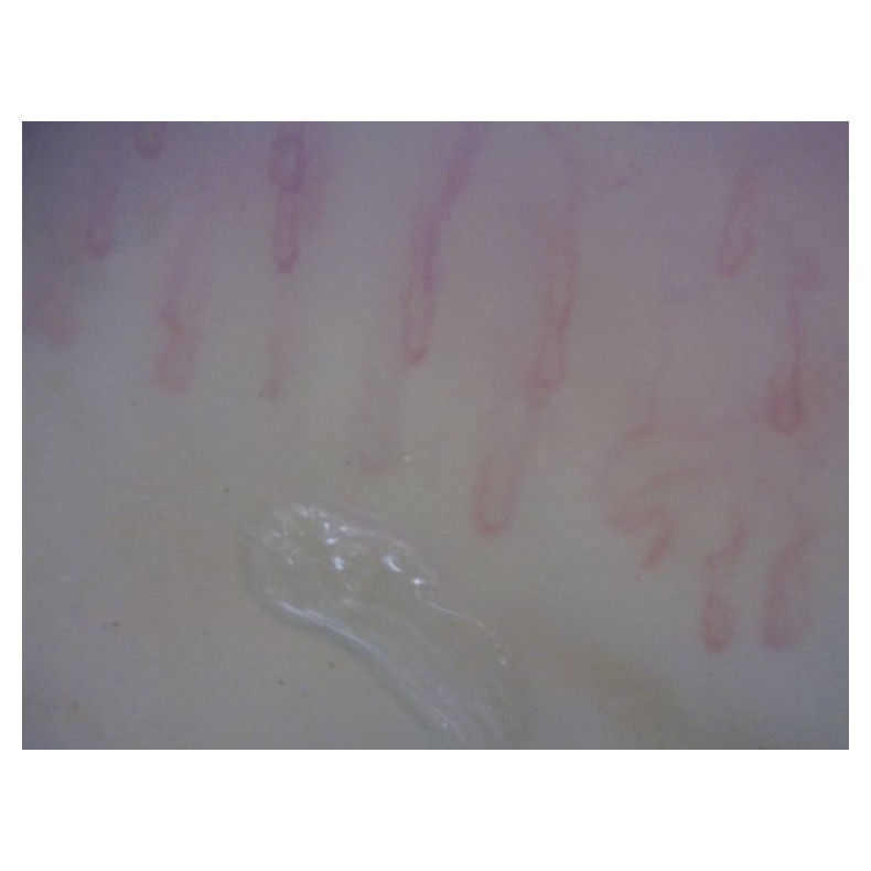 Microscopio Digital Dino-Lite...