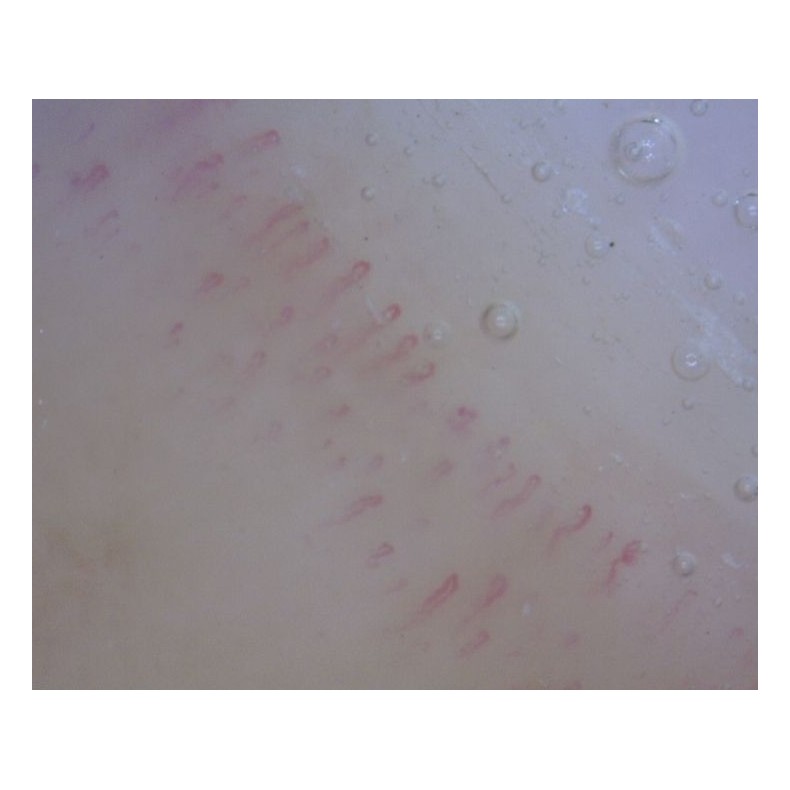 Microscopio Digital Dino-Lite...