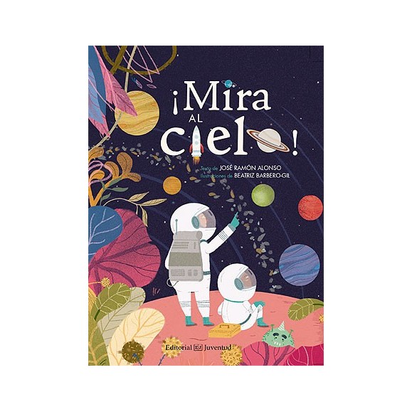 ¡Mira al cielo!