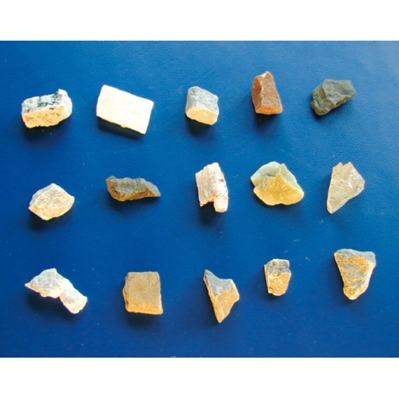 Microscopio Bresser Junior stereo microscopio 20x 8852000