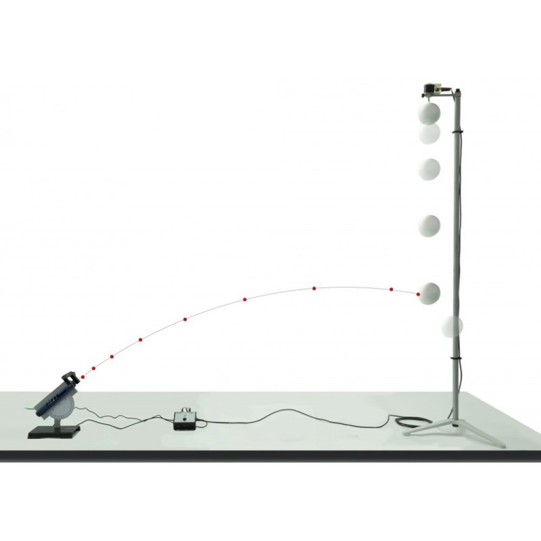 Paradoja del mono y la cervatana... Paradoja del mono y la cervatana...