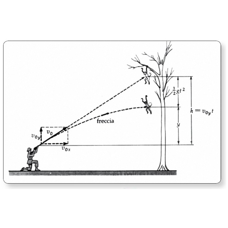 Paradoja del mono y la cervatana... Paradoja del mono y la cervatana...