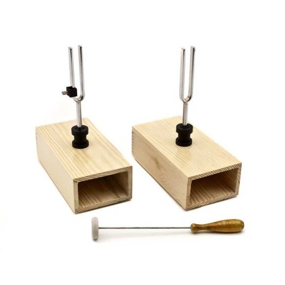 Pareja de diapasones OPTIKA SCIENCE