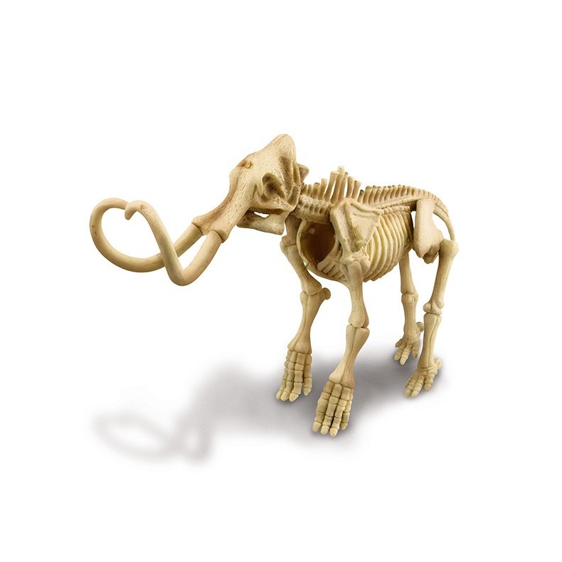 Dinosaurio Mammoth Skeleton 4M Dinosaurio Mammoth Skeleton 4M