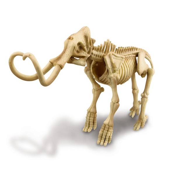 Dinosaurio Mammoth Skeleton 4M