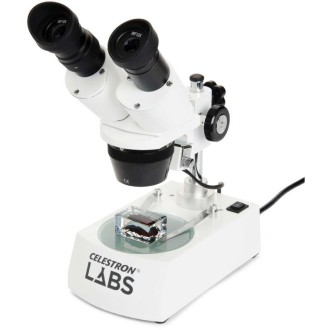 Microscopio estereoscópico...