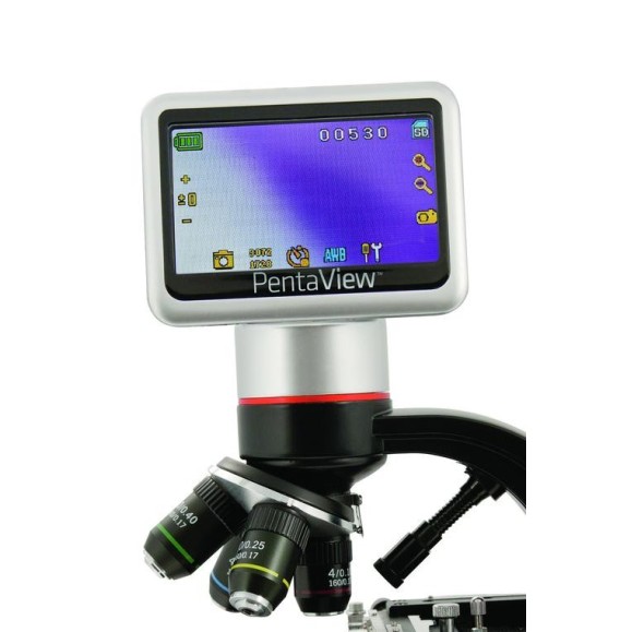 Microscopio digital Celestron PentaView LCD 44348
