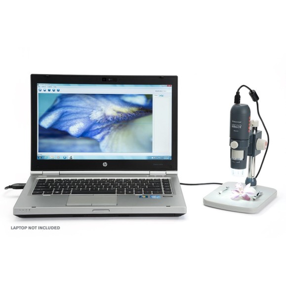 Microscopio digital Celestron Microdirect 1080P HD Handheld