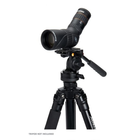 Telescopio terrestre Celestron Hummingbird ED 9-27x56 45º