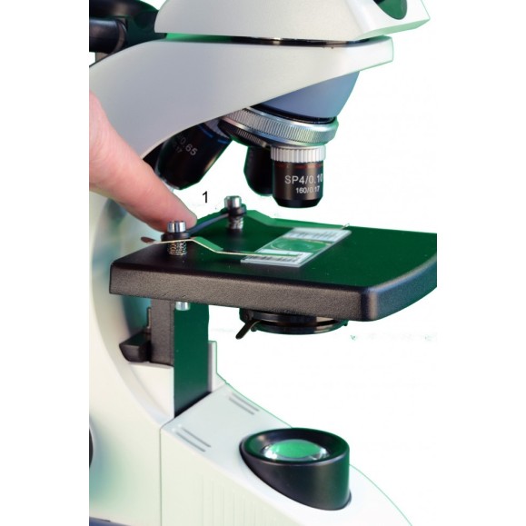 Microscopio Biológico BMS EDULED FLArQ 5738880 Triocular