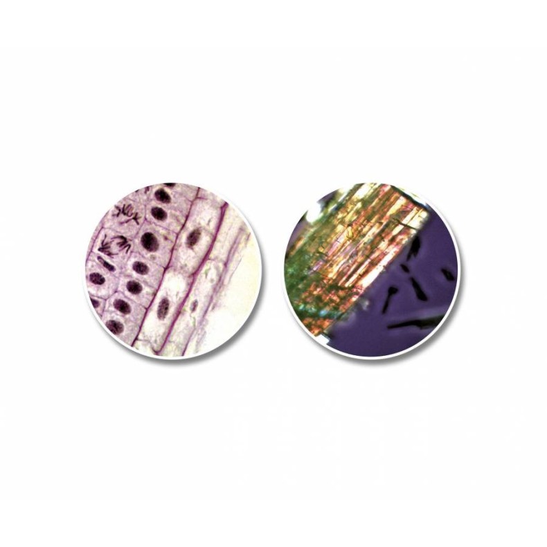 Kit microscopio telescopio National... Kit microscopio telescopio National...