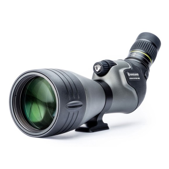 Kit Vanguard Endeavor 82HD con trípode Alta Pro 2 264AO