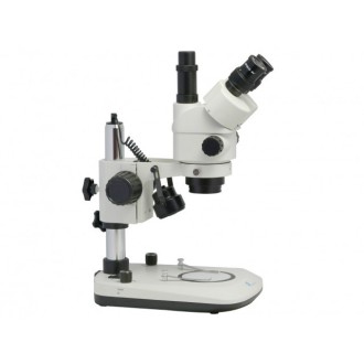 Microscopio estereoscópico...