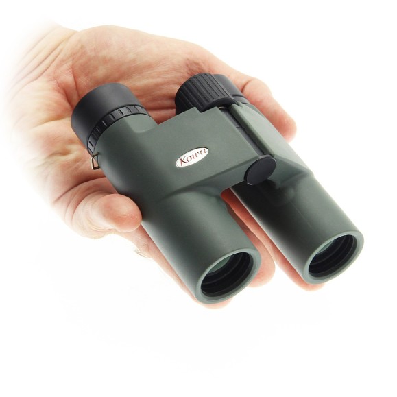 Prismático Kowa BD 8x25 DCF