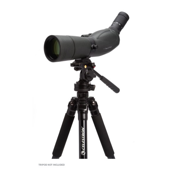 Telescopio terrestre Celestron Trailseeker 65mm 45 grados