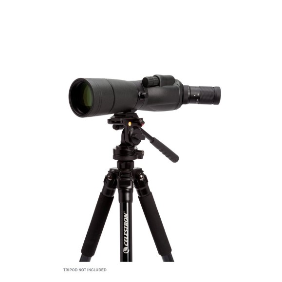 Telescopio terrestre Celestron Trailseeker 65mm 45 grados