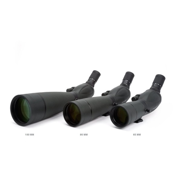 Telescopio terrestre Celestron Trailseeker 65mm 45 grados