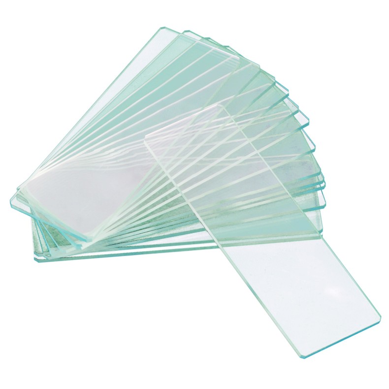 Portaobjetos vacíos de dos cavidades... Portaobjetos vacíos de dos cavidades...