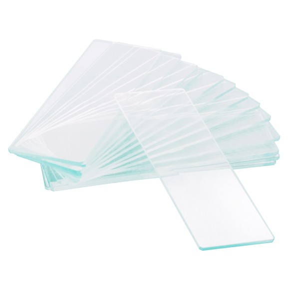 Portaobjetos vacíos de una cavidad Levenhuk G50 1H, 50 unidades