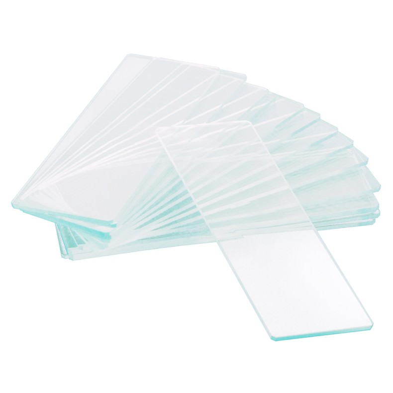 Portaobjetos vacíos de una cavidad... Portaobjetos vacíos de una cavidad...