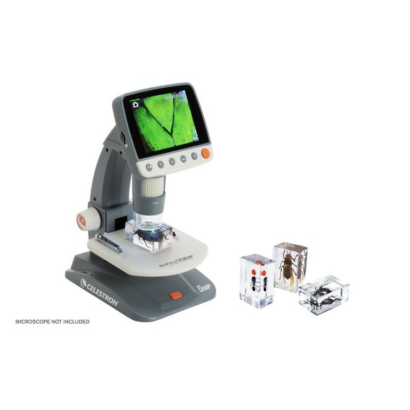 Kit nº 5 de Preparaciones 3D de insectos