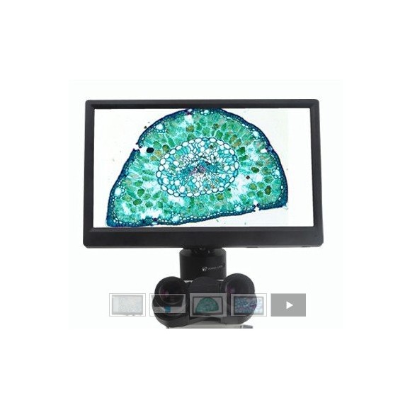 Pantalla BMS CellPad 3 Wifi 5Mp HDMI