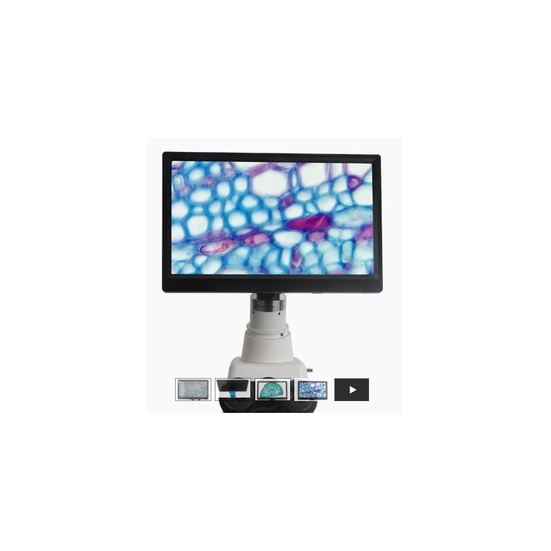 Pantalla BMS CellPad 3 Wifi 5Mp HDMI