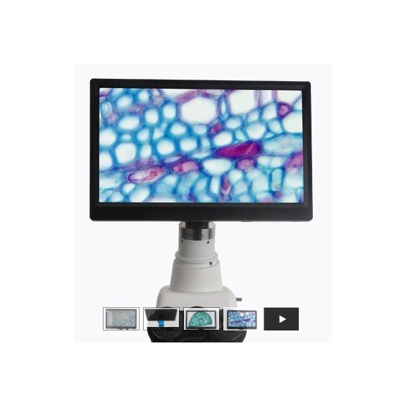 Pantalla BMS CellPad 3 Wifi 5Mp HDMI