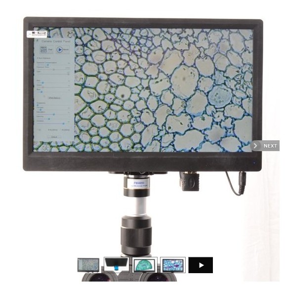 Pantalla BMS CellPad 3 Wifi 5Mp HDMI