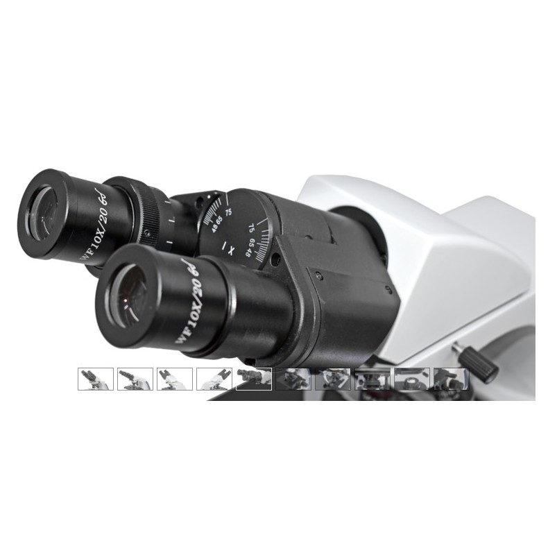 Microscopio Biológico binocular BMS...