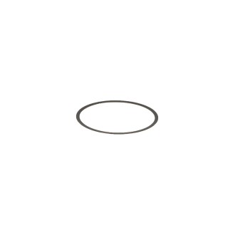 Anillo espaciador de Baader...